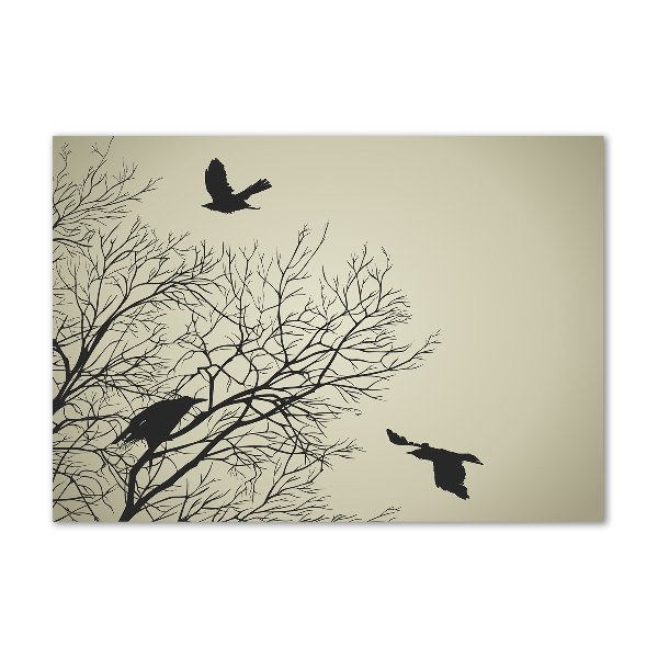 Foto-obraz szklany Wrony na drzewie