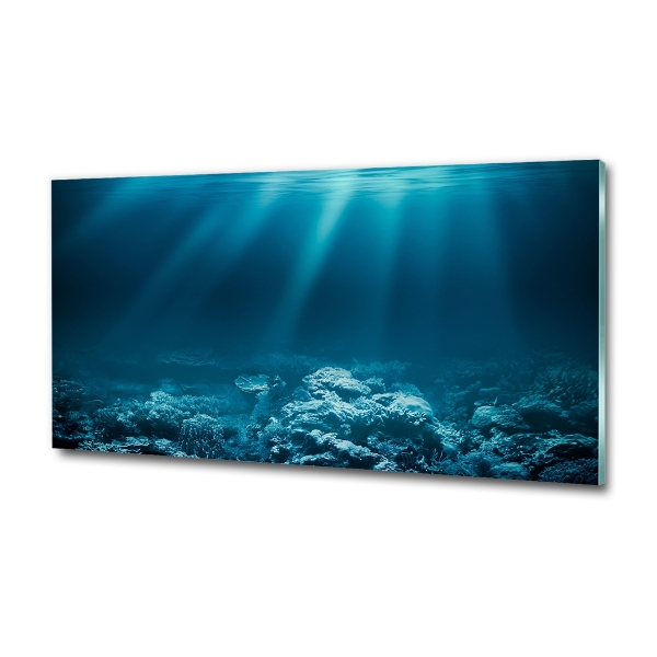 Cuadro decorativo de vidrio para salón horizontal Mundo submarino