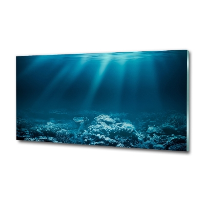 Cuadro decorativo de vidrio para salón horizontal Mundo submarino