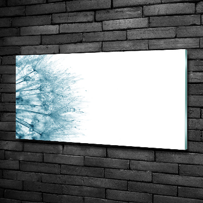 Foto en cristal de alta calidad con impresión uv horizontal Diente de león