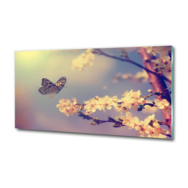 Cuadro de cristal templado moderno horizontal Flor de cerezo y mariposa