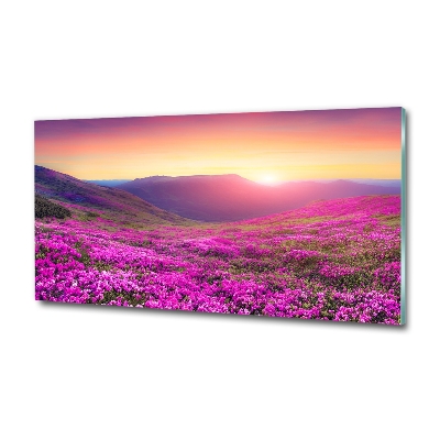 Foto en cristal de alta calidad con impresión uv horizontal Colinas rosadas