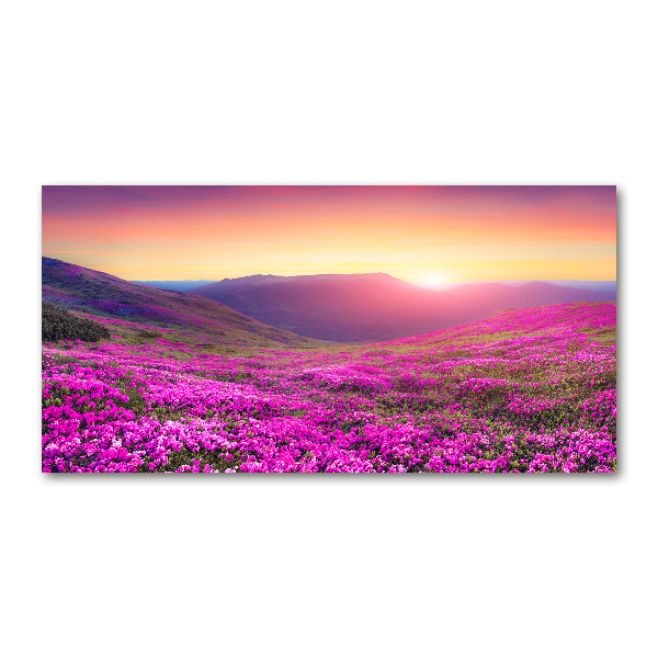 Foto en cristal de alta calidad con impresión uv horizontal Colinas rosadas