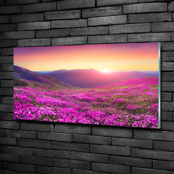 Foto en cristal de alta calidad con impresión uv horizontal Colinas rosadas