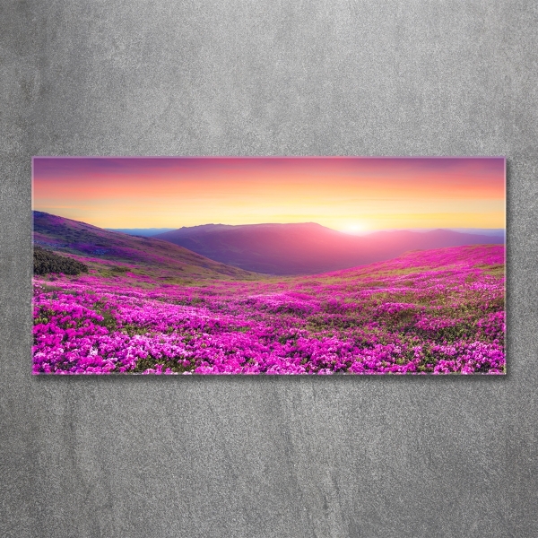 Foto en cristal de alta calidad con impresión uv horizontal Colinas rosadas
