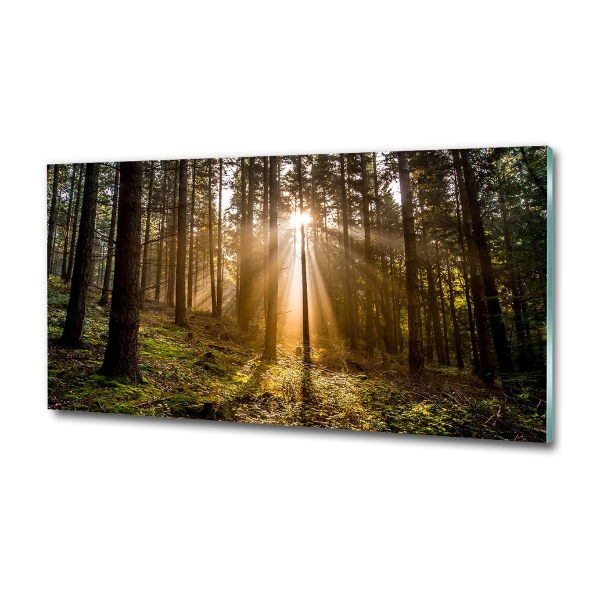 Cuadro decorativo de vidrio para salón horizontal Luz del sol