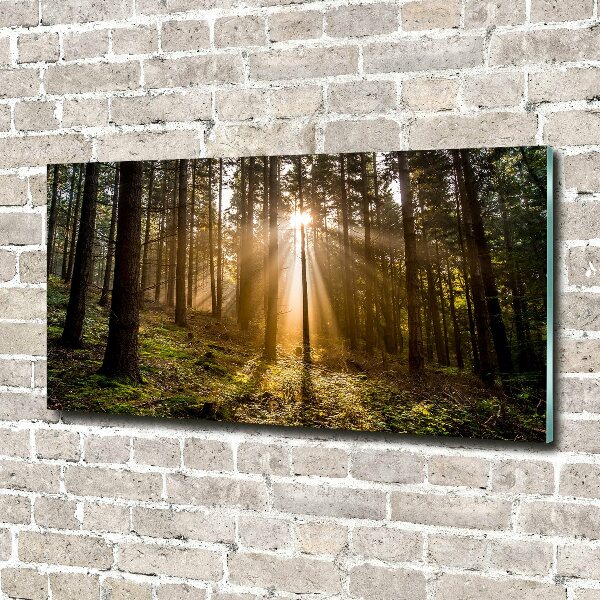 Cuadro decorativo de vidrio para salón horizontal Luz del sol