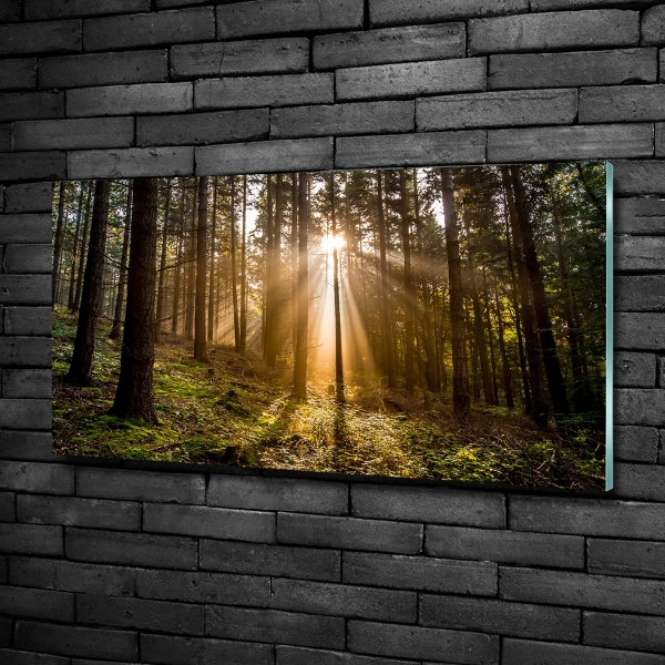 Cuadro decorativo de vidrio para salón horizontal Luz del sol