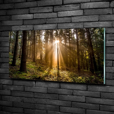 Cuadro decorativo de vidrio para salón horizontal Luz del sol