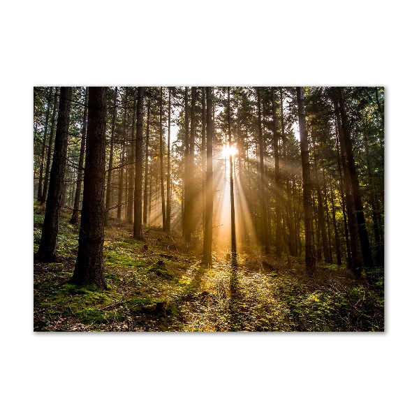 Cuadro decorativo de vidrio para salón horizontal Luz del sol