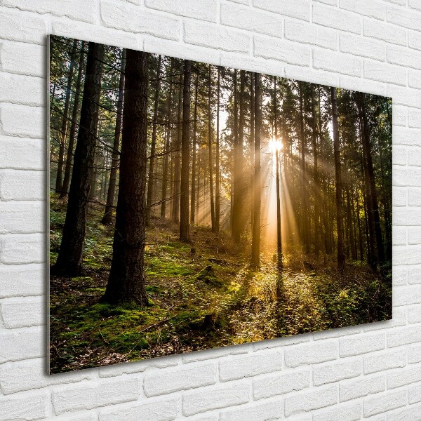 Cuadro decorativo de vidrio para salón horizontal Luz del sol