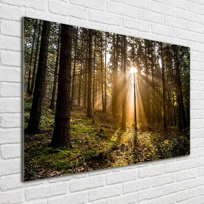 Cuadro decorativo de vidrio para salón horizontal Luz del sol