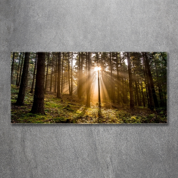 Cuadro decorativo de vidrio para salón horizontal Luz del sol