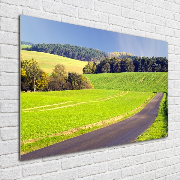 Cuadro de cristal templado moderno horizontal Camino de tierra