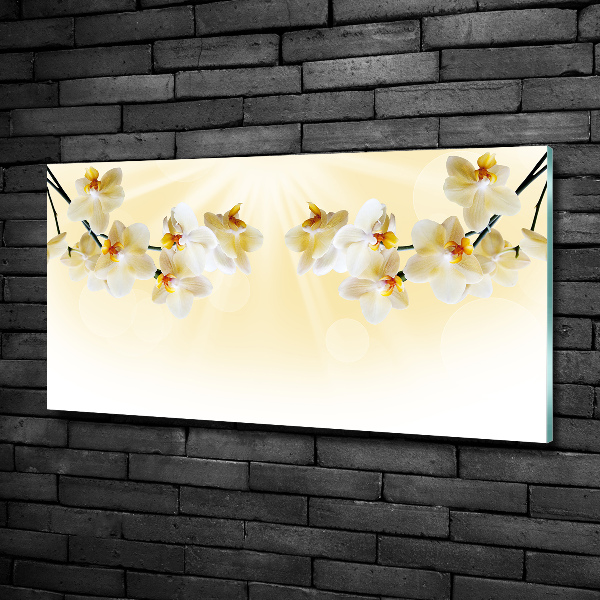 Foto en cristal de alta calidad con impresión uv horizontal Orquídea