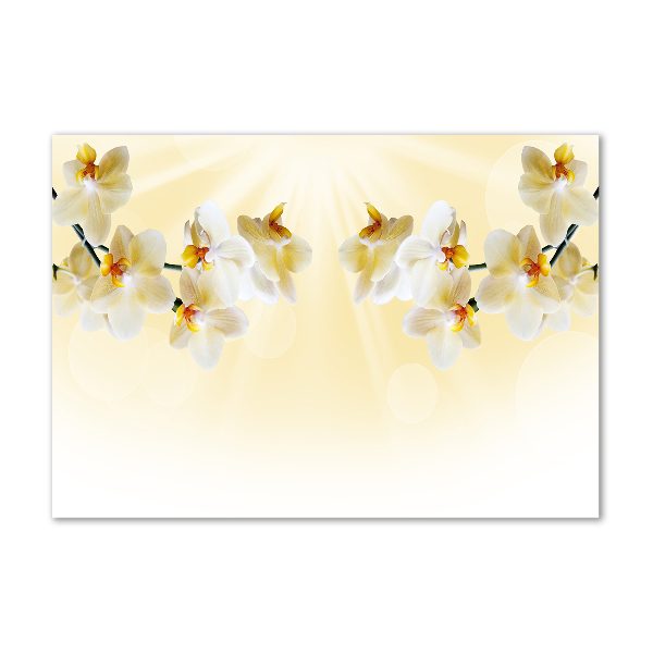 Foto en cristal de alta calidad con impresión uv horizontal Orquídea