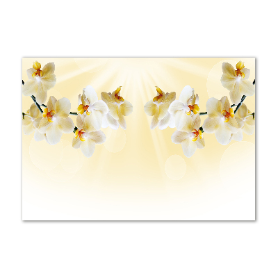 Foto en cristal de alta calidad con impresión uv horizontal Orquídea