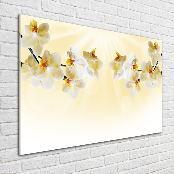 Foto en cristal de alta calidad con impresión uv horizontal Orquídea