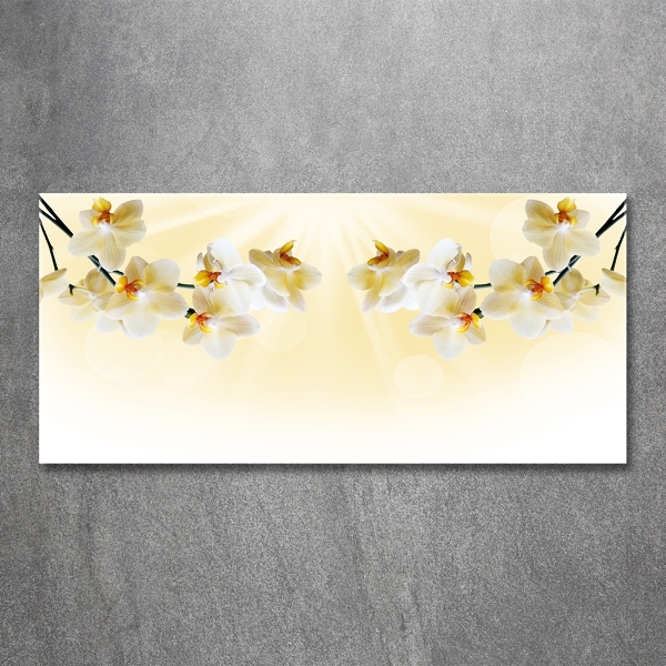 Foto en cristal de alta calidad con impresión uv horizontal Orquídea