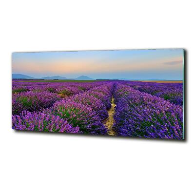 Cuadro de cristal templado moderno horizontal campo de lavanda