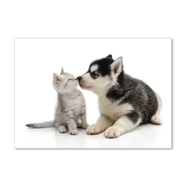 Impresión en cristal con acabado brillante horizontal Perro y gato