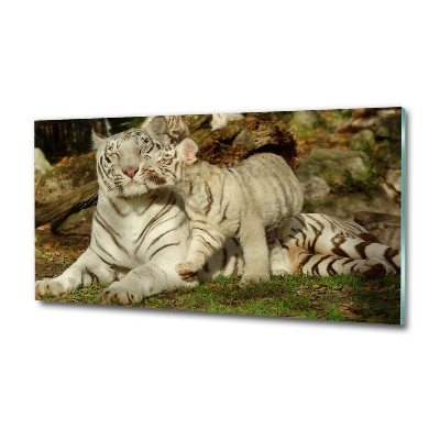 Cuadro decorativo de vidrio para salón horizontal Tigres