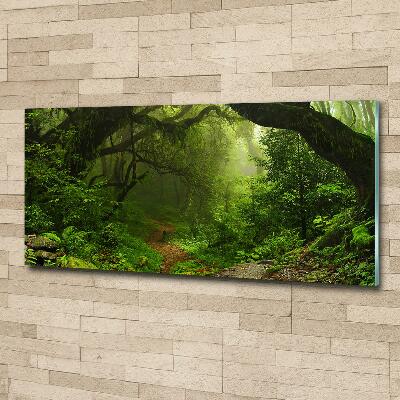 Cuadro de cristal templado moderno horizontal Jungla en Nepal
