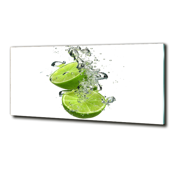 Cuadro decorativo de vidrio para salón horizontal Cal bajo el agua