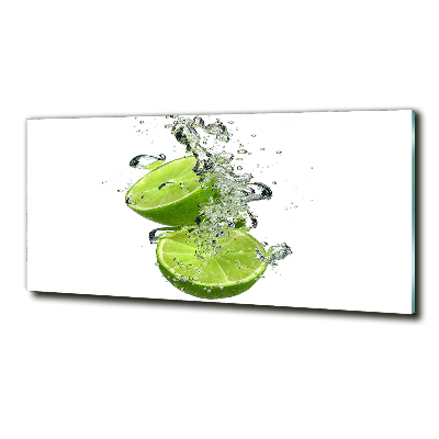 Cuadro decorativo de vidrio para salón horizontal Cal bajo el agua