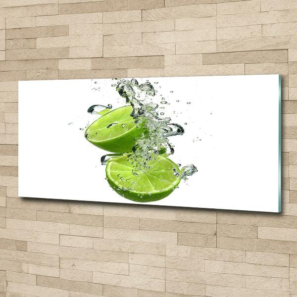 Cuadro decorativo de vidrio para salón horizontal Cal bajo el agua