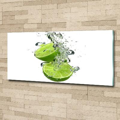 Cuadro decorativo de vidrio para salón horizontal Cal bajo el agua