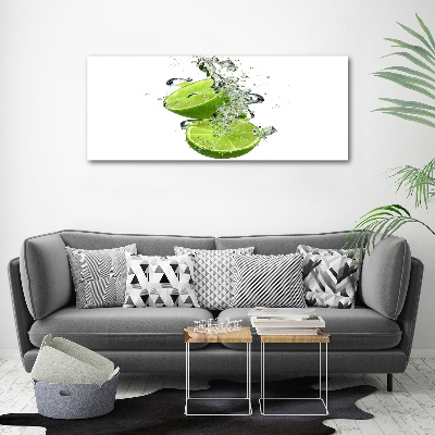 Cuadro decorativo de vidrio para salón horizontal Cal bajo el agua