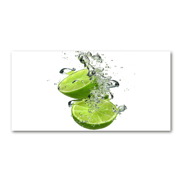 Cuadro decorativo de vidrio para salón horizontal Cal bajo el agua