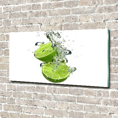 Cuadro decorativo de vidrio para salón horizontal Cal bajo el agua