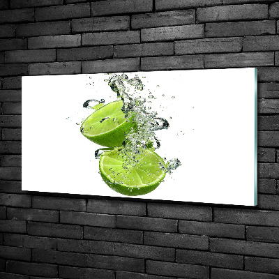 Cuadro decorativo de vidrio para salón horizontal Cal bajo el agua