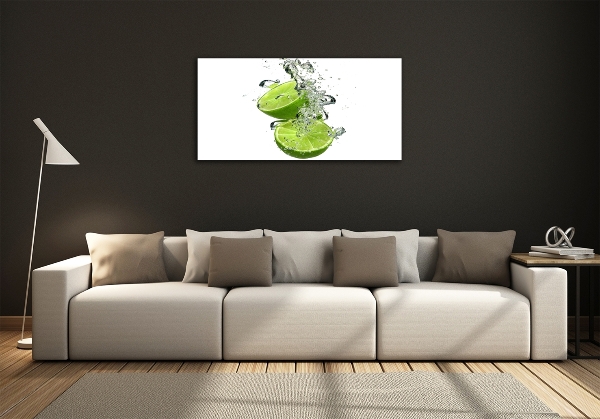 Cuadro decorativo de vidrio para salón horizontal Cal bajo el agua