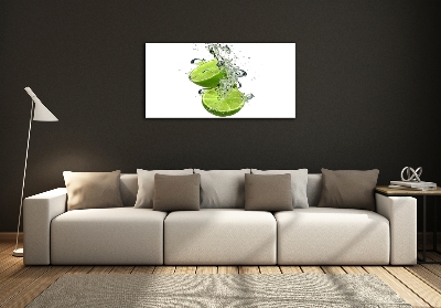 Cuadro decorativo de vidrio para salón horizontal Cal bajo el agua