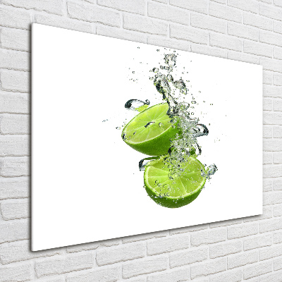 Cuadro decorativo de vidrio para salón horizontal Cal bajo el agua