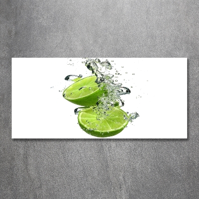 Cuadro decorativo de vidrio para salón horizontal Cal bajo el agua