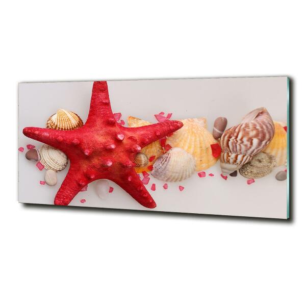 Cuadro decorativo de vidrio para salón horizontal Estrellas de mar y conchas
