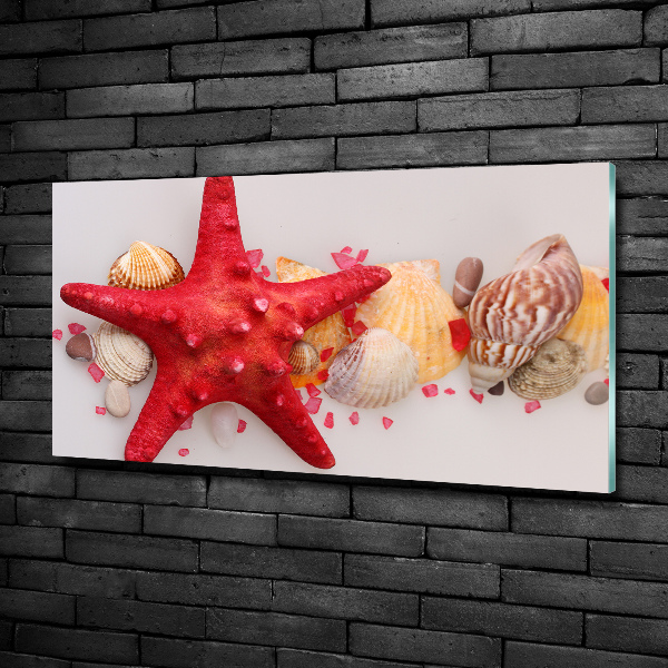 Cuadro decorativo de vidrio para salón horizontal Estrellas de mar y conchas