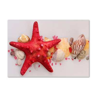 Cuadro decorativo de vidrio para salón horizontal Estrellas de mar y conchas