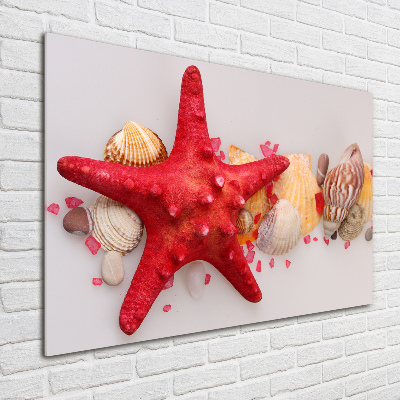 Cuadro decorativo de vidrio para salón horizontal Estrellas de mar y conchas