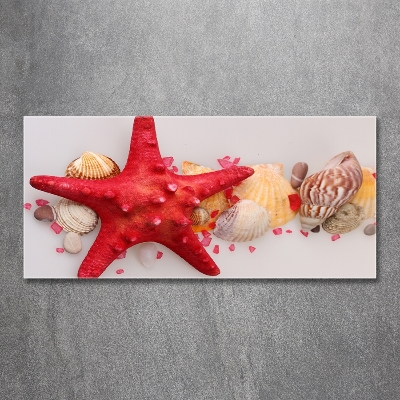 Cuadro decorativo de vidrio para salón horizontal Estrellas de mar y conchas