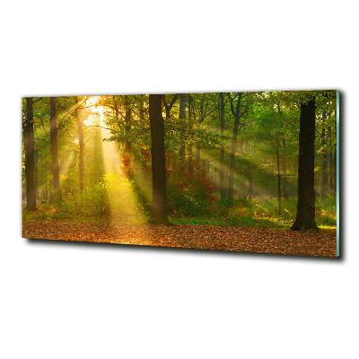 Cuadro de cristal templado moderno horizontal Bosque al sol