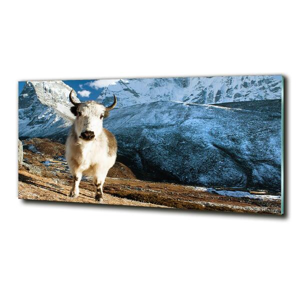 Foto-obraz szkło hartowane Jak góry