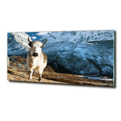 Foto-obraz szkło hartowane Jak góry