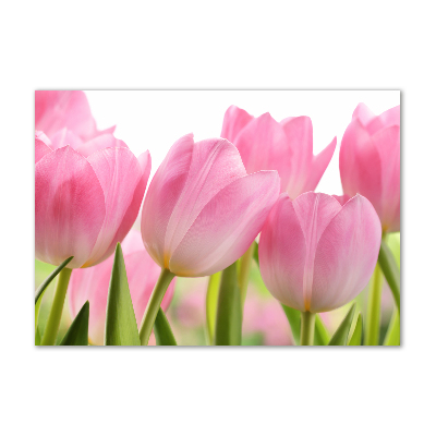 Foto en cristal de alta calidad con impresión uv horizontal tulipanes rosados