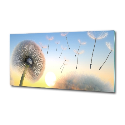 Foto en cristal de alta calidad con impresión uv horizontal Diente de león