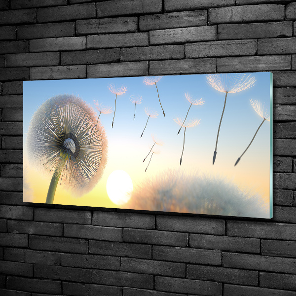 Foto en cristal de alta calidad con impresión uv horizontal Diente de león